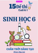 Tuyển tập 15 Đề thi cuối Kì 1 môn Sinh Học 6 sách Chân Trời Sáng Tạo (Kèm đáp án)